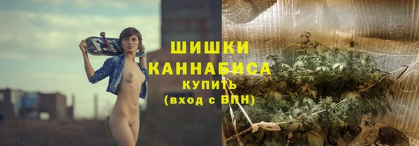 2c-b Горняк