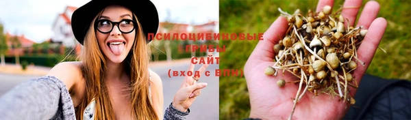 крисы Горно-Алтайск