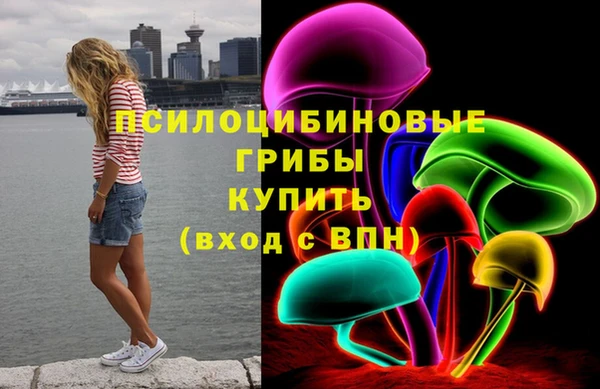 МДПВ Горнозаводск