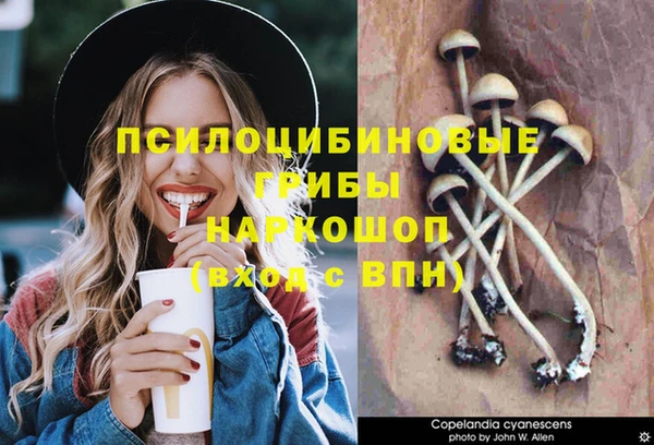 2c-b Горняк
