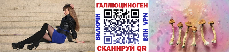 Псилоцибиновые грибы мицелий  Купить закладки  Киренск 